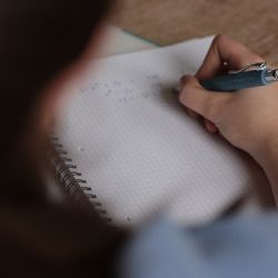 Online-Material für den Sekundarbereich I