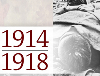 Der Erster Weltkrieg - industriell geführter Massenkrieg und Medienereignis