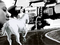 Regionale Filmtage zur politischen Bildung