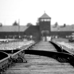 Der Holocaust