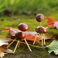 Basteln mit Naturmaterialien